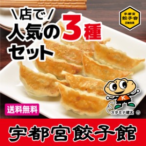 【送料無料】宇都宮餃子会正組合員 宇都宮餃子館　店で人気の3種セット　健太・シソ・ニンニク・各餃子8個×2パック　計48個／餃子フェス