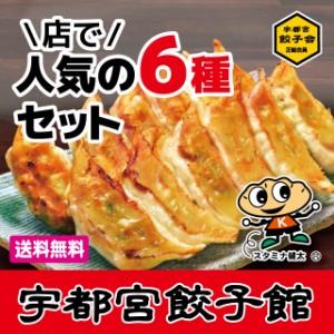 【送料無料】宇都宮餃子会正組合員 宇都宮餃子館 人気の６種セット 健太 スタミナ健太 ニラ ニンニク シソ お肉 計48個／餃子フェス