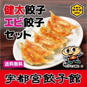 【送料無料】宇都宮餃子会正組合員　宇都宮餃子館　健太・エビ餃子セット　健太餃子×3パック　エビ8個×2パック　計40個／餃子フェス