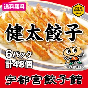 【送料無料】宇都宮餃子会　正組合員　宇都宮餃子館　健太餃子詰合せ　　健太餃子８個入り×６パック／餃子フェス