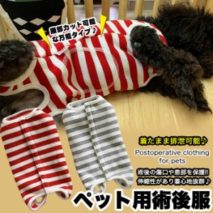 犬 猫 術後服 術後ウェア ボーダー 服 傷 舐めない 傷口保護 ペット用品  ペット服 エリザベスカラー h0345