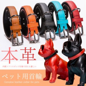 犬 猫 首輪 本革 痛くない ペット キャット ドッグ ペットグッズ 小型犬 中型犬 h0363