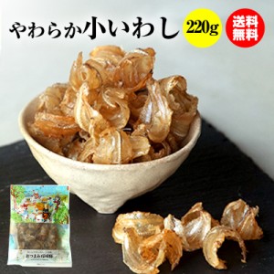 【当商品2セット購入で19種から1種おまけ】珍味 やわらか 小いわし 220ｇ 送料無料 メール便 大容量 小魚 旨さがギュッと おつまみ おや