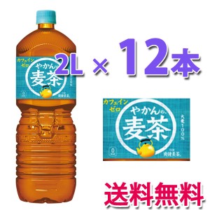 コカ・コーラ社製品 やかんの麦茶 from 一(はじめ)PET 2L 2ケース 12本 送料無料