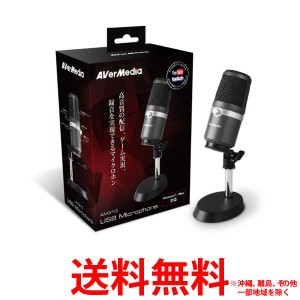 AVerMedia AM310