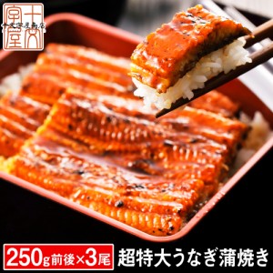 うなぎ 蒲焼き 250g前後×3尾 国産 ではございませんがふっくら柔らか 土用 丑の日 超 特大 ウナギ 鰻 大サイズ たれと山椒付き 長焼き  