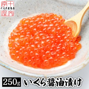 鱒子いくら醤油漬け 250g イクラ 醤油漬け 訳あり 小粒 魚卵 マスコ いくら 冷凍便 お取り寄せ