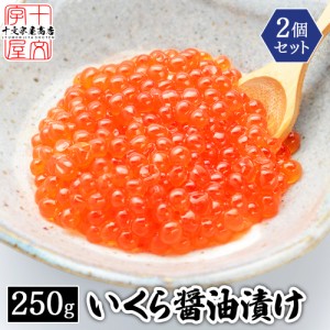 5日10時〜期間限定＼半額／ 鱒子いくら醤油漬け 500g (250g×2パック) イクラ hsk 送料無料 醤油漬け 鮭 さけ 魚卵 いくら サケ マスコ 