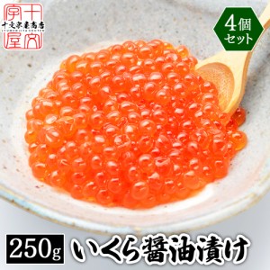 鱒子いくら醤油漬け 1kg (250g×4パック) イクラ マスコ 送料無料 イクラ 醤油漬け 鮭 さけ 魚卵 いくら サケ 小粒 訳あり お取り寄せ 敬