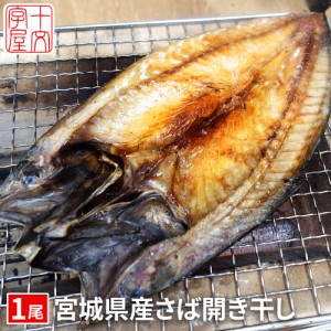 脂は乗ってて当たり前！石巻の至宝 宮城県産 さば開き干し hsk 金華サバ 金華鯖 無添加 干物 宮城 石巻 冷凍便 お取り寄せ BBQ