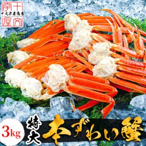 ボイル 本ずわいがに 茹で 本ズワイガニ 一肩づつシュリンク包装 3kg 超特大 3L/4L 脚肉 蟹足 蟹脚 ボイルずわい ずわい蟹 ズワイ蟹 かに