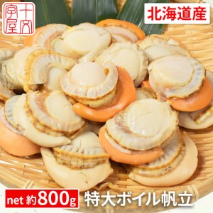 5日10時〜期間限定＼400円OFF／ 北海道噴火湾産 厳選蒸し帆立 特大2Lサイズ hsk 送料無料 スチームホタテ ボイルほたて NET：約800g 16〜