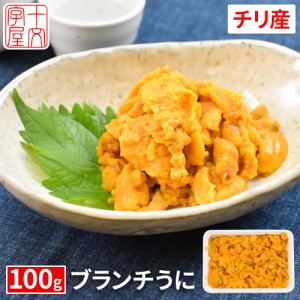 23日0時〜＼半額／ うに ウニ 無添加 ミョウバン不使用 100g ブランチ製法 バラ盛り チリ産 生ウニ 生うに  お試し 訳あり お刺身 丼 手