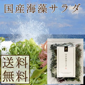 海藻サラダ 国産 50g メール便送料無料 三陸産わかめ 茎わかめ わかめ 赤とさか 白とさか 国産 ダイエット 無添加 一人暮らし 時短 調理 