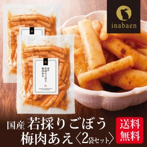 漬物 国産若採りごぼう 梅肉あえ 120g 2袋セット メール便送料無料 漬け物 漬物 お漬け物 お漬物 国産 ギフト 贈り物 プレゼント お礼 贈