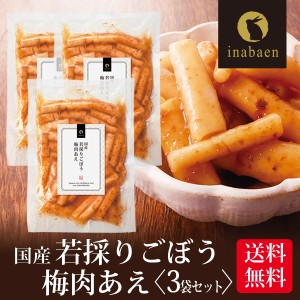 漬物 国産若採りごぼう 梅肉あえ 120g 3袋セット メール便送料無料 漬け物 お漬け物 お漬物 国産 ギフト 贈り物 プレゼント お礼 贈答 内