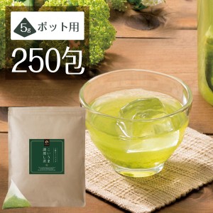 こいうま深蒸し茶ポット用 250包セット 送料無料 50包 5袋 水出し 緑茶 お茶 冷茶 水だし 水出し茶 掛川 牧之原 ティーバッグ ティーバッ