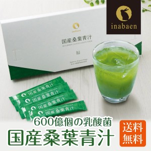 青汁 桑葉 茶匠庵 国産桑葉青汁 50包 メール便送料無料 腸活 乳酸菌 酵素 明日葉 オリゴ糖 600億個の乳酸菌 ダイエット 糖質