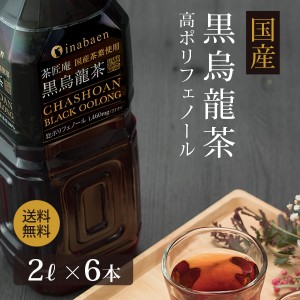 【6本セット】賞味期限2024年10月28日 黒烏龍茶 茶匠庵 プレミアム国産黒烏龍茶 ペットボトル 2リットル 1ケース 2リットル 6本 送料無料