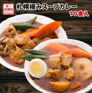 スープカレー プレゼント 送料無料　札幌極みスープカレー 10食　カレー　レトルト 大容量 10食セット（チキン5食・豚角煮5食) ギフト