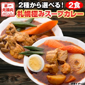 札幌 スープカレー 選べる 2食セット 送料無料 スープカレー 豚角煮 チキン 北海道 カレー レトルト