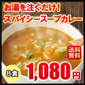 スープカレー 送料無料 8食入 粉末タイプ カレーうどん カレーラーメン カレーメシ