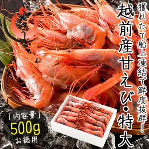 越前産 甘えび 子持ち特大サイズ 500g（約30尾入り） 甘エビ 刺身用 贈り物 ギフト プレゼント 