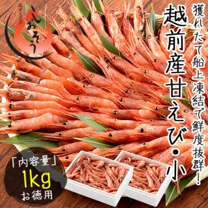 甘エビ 甘えび 子なし 小サイズ 1kg（500g×2箱）約80〜100尾入り 刺身用 越前産 贈り物 ギフト プレゼント 産地直送 お刺身 