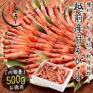 越前産 甘えび 甘エビ 子なし 小サイズ 500g（約40〜50尾入り） 刺身用 贈り物 ギフト プレゼント 産地直送 お刺身 