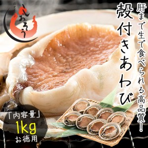 あわび 殻付き 1kg（約8〜9粒入り）アワビ 鮑 翡翠の瞳 贈り物 ギフト プレゼント 殻付き 生食用 