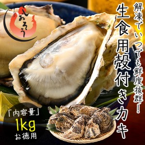 カキ 牡蠣 かき 生牡蠣 生ガキ 生食用 殻付き 1kg（8〜10個前後） 冷凍