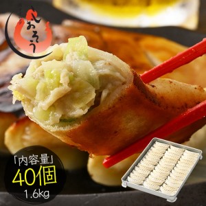 餃子 ジャンボ餃子 40個 1.6kg 冷凍餃子 贈り物 ギフト プレゼント 