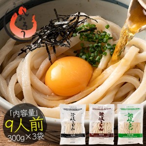 うどん 讃岐うどん 300g (9人前)×3袋 メーカー直送 ［ゆうパケット］［配送日時指定不可］［商品代引不可］［同梱不可］ 