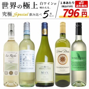 うきうき厳選 世界の白ワインが味わえる 極上辛口白ワイン スペシャル飲み比べ5本セット【55弾】 （送料無料ワインセット）