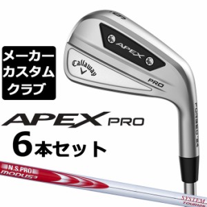 【メーカーカスタム】キャロウェイ APEX PRO 2023 右用 アイアン 6本セット(#5-P) N.S.PRO MODUS3 SYSTEM3 TOUR 125 スチールシャフト 日