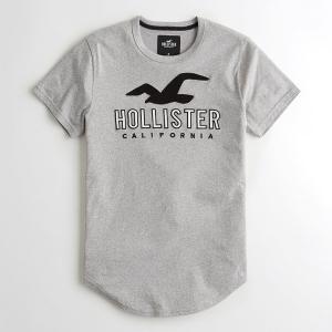 ホリスター メンズ 半袖tシャツ ロゴ グラフィックtシャツ Hollister Applique Logo Graphic Tee ヘザーグレーの通販はau Wowma ワウマ アンシャンブル 商品ロットナンバー