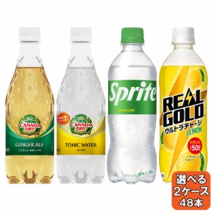 選べてお得！！ よりどり 2ケース セット 炭酸500ml PET 48本 (24本×2ケース)  ジンジャー トニック スプライト リアル いろはす 送料無