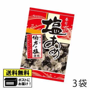 春日井製菓 塩あめ （4袋） 熱中症対策 塩分補給 メール便