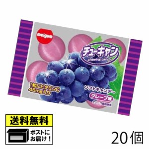 明治チューイング チューイングキャンデー グレープ味 （20個） チューキャン 駄菓子 飴 ぶどう味 駄菓子 送料無料 メール便