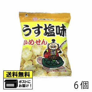 大和製菓 うす塩味かめせん 8g （6個） あられ 駄菓子メール便