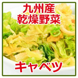 乾燥野菜　キャベツ　125ｇ　 国産 九州産