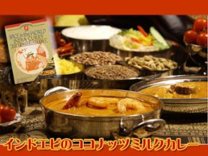 無添加　インドカレー　エビのココナッツミルク カレー　5箱セット (レトルトカレー)