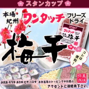 ワンタッチ梅干38ｇ　梅干し 無添加 紀州産 和歌山産 うめぼし 国内産 フリーズドライ 乾燥梅