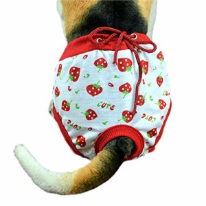 Outfun ペット用品、 メスのペット用品/ペット用生理パンツ S(<span>中古品</span>)