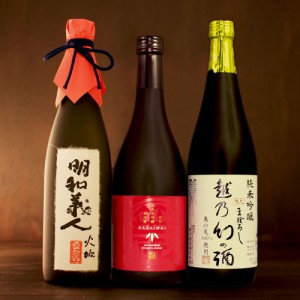 日本酒 飲み比べ （純米大吟醸 明和義人、純米大吟醸 笹祝 越淡麗仕込、純米吟醸 越乃幻の酒）【酒は百薬の長 梅】720ml×3本セット 父の