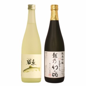 【父の日】日本酒 飲み比べセット 純米大吟醸 原酒 岩魚 ×純米吟醸 越乃幻の酒 父の日 退職祝い ギフト 新潟地酒 720ml×2本  塩川酒造 