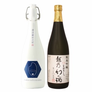 日本酒 飲み比べセット コシヒカリ純米大吟醸 原酒 幻の酒 金升酒造×純米吟醸 越乃幻の酒 720ml×2本 父の日 退職祝い ギフト プレゼン