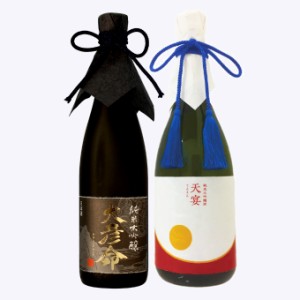 【父の日】日本酒 飲み比べセット 純米大吟醸 大彦命×純米大吟醸 天宴 720ml×2本セット 母の日 退職祝い ギフト プレゼント 新潟地酒 