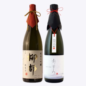 【父の日】日本酒 飲み比べセット お歳暮 父の日 退職祝い ギフト 720ml×2本セット 純米大吟醸 柳都×純米大吟醸 おかみ 結婚祝い 出産