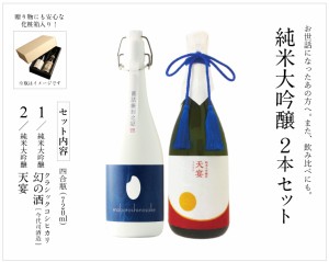 日本酒 飲み比べセット 新潟コシヒカリ純米大吟醸 幻の酒 今代司酒造 ×純米大吟醸 天宴 720ml×2本 プレゼント 母の日 退職祝い ギフト 